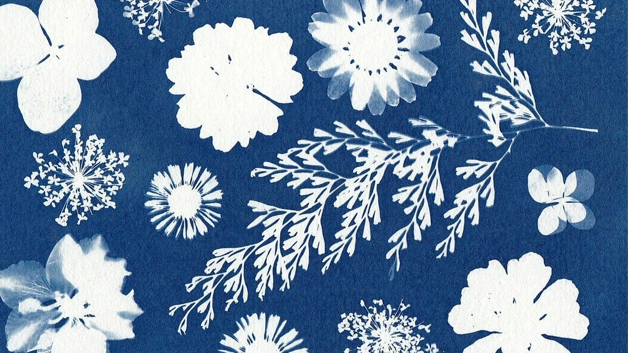 A blue and white floral print featuring various flowers in a delicate pattern.