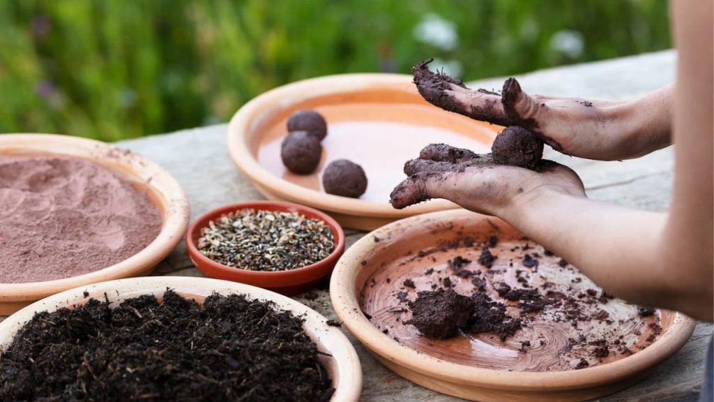 Hands forming seed balls from soil, clay, and seeds on clay plates. Nearby are plates with dry soil, mixed seeds, and rich compost. Outdoor setting.