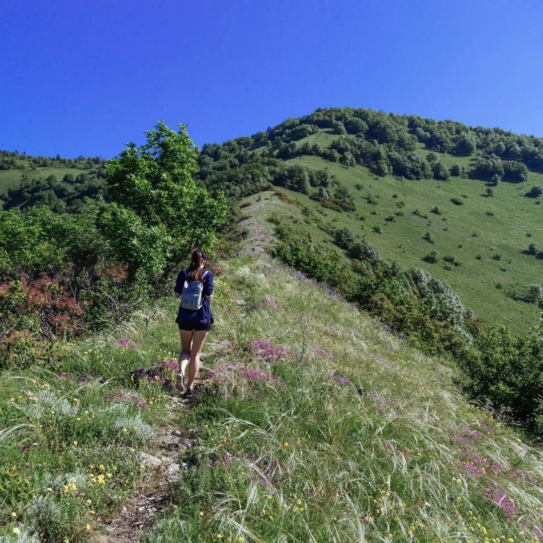 A woman hikes along a narrow, grassy trail on a lush green hillside under a clear blue sky, conveying a sense of adventure and tranquility.