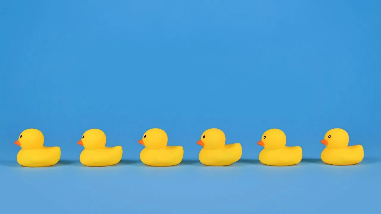 Five colorful rubber ducks arranged on a bright blue background.